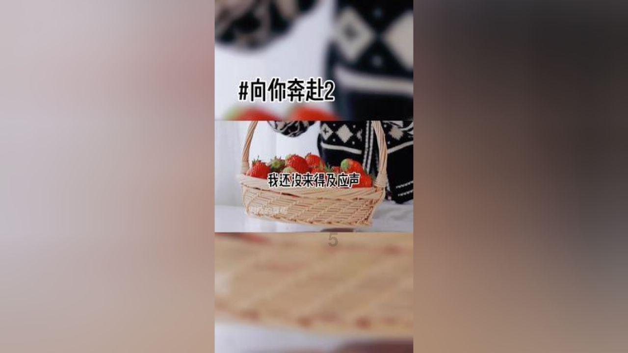 今年得行情会好点不
