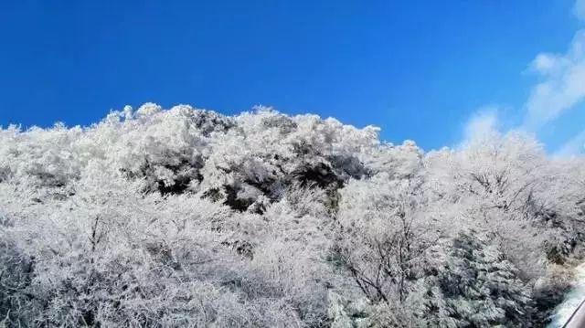 昨夜今晨,京津冀发生这些大事(2024年1月20日)