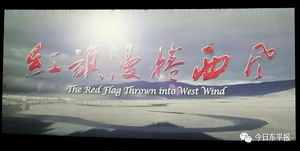 植物大战僵尸4