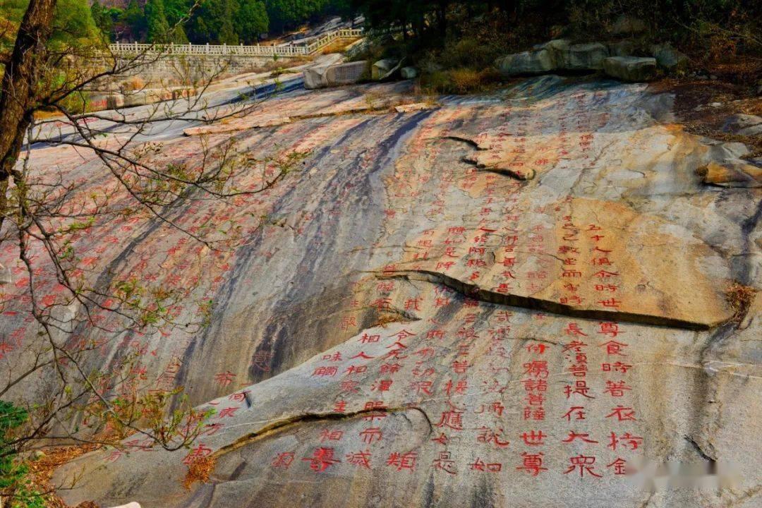 英媒：亨德森已经参加阿贾克斯的训练，很可能周末迎来荷甲首秀